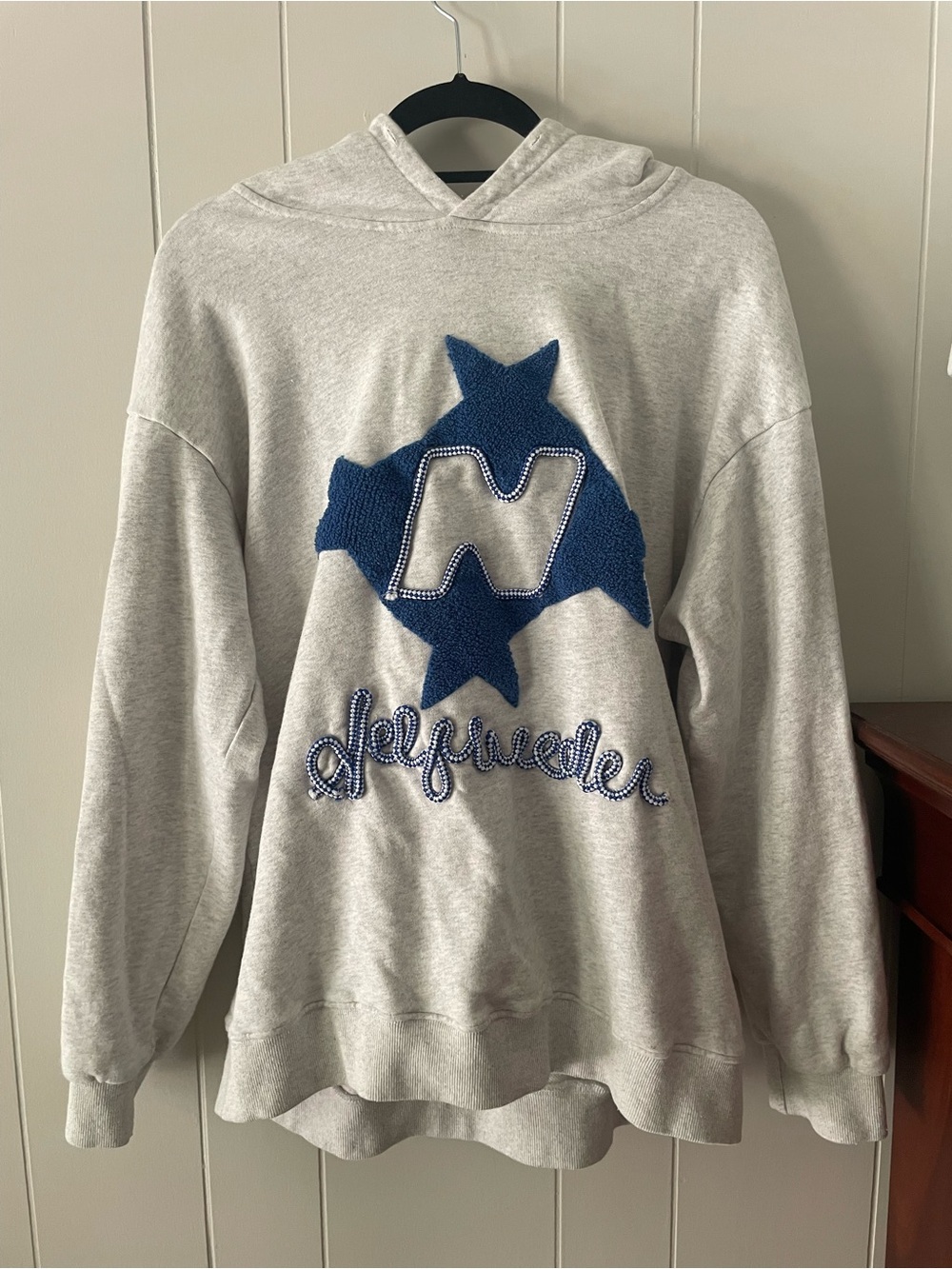 Aelfric Eden L Gray Blue Chenille Embroidered Oversized Hoodie